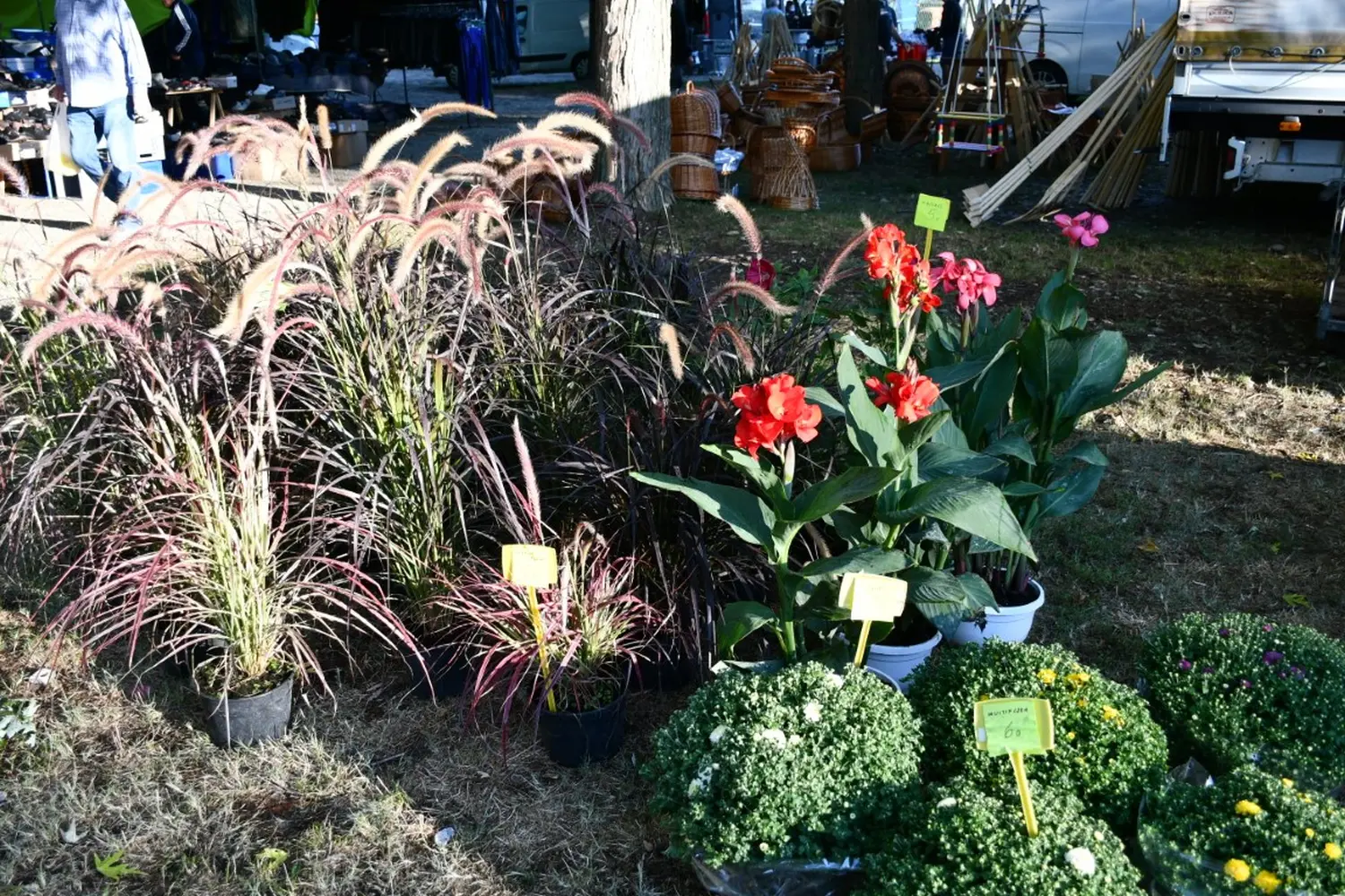 čakovečki sajam 11.9.2024 (19)