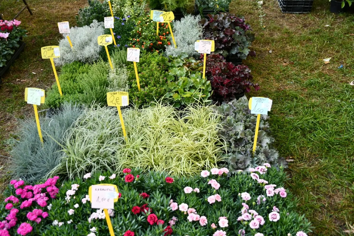 čakovečki sajam 11.9.2024 (21)