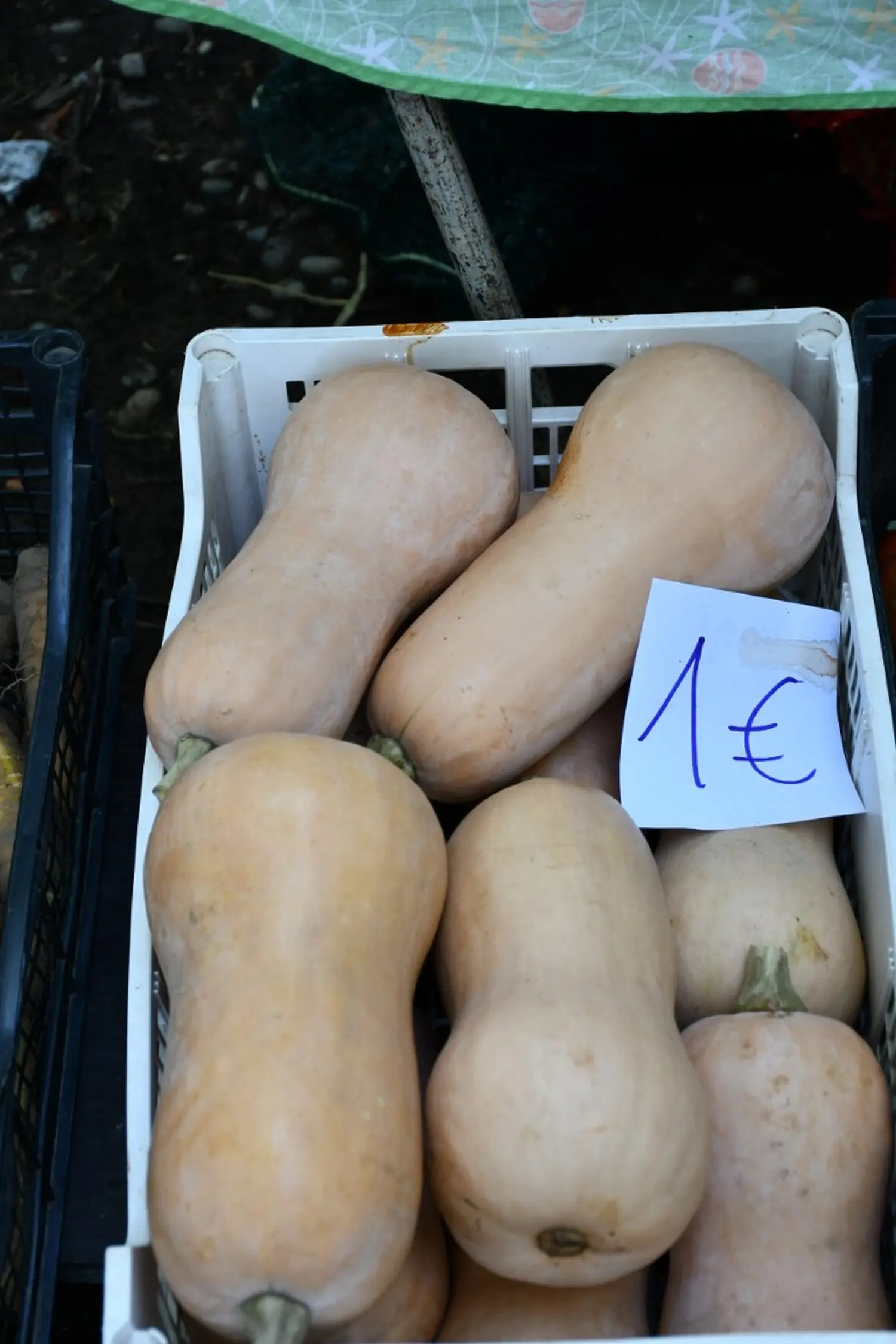 čakovečki sajam 11.9.2024 (36)