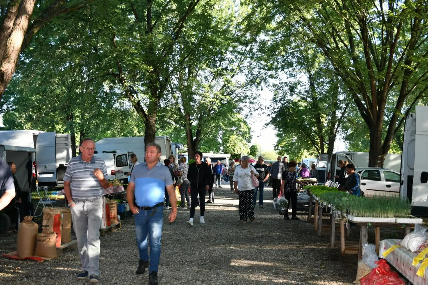 čakovečki sajam 11.9.2024 (40)