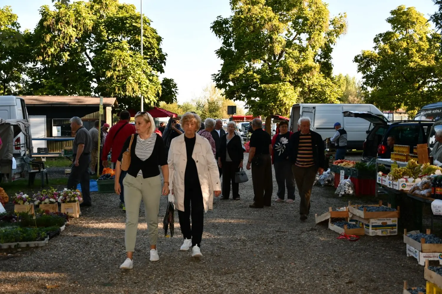 čakovečki sajam 11.9.2024 (46)