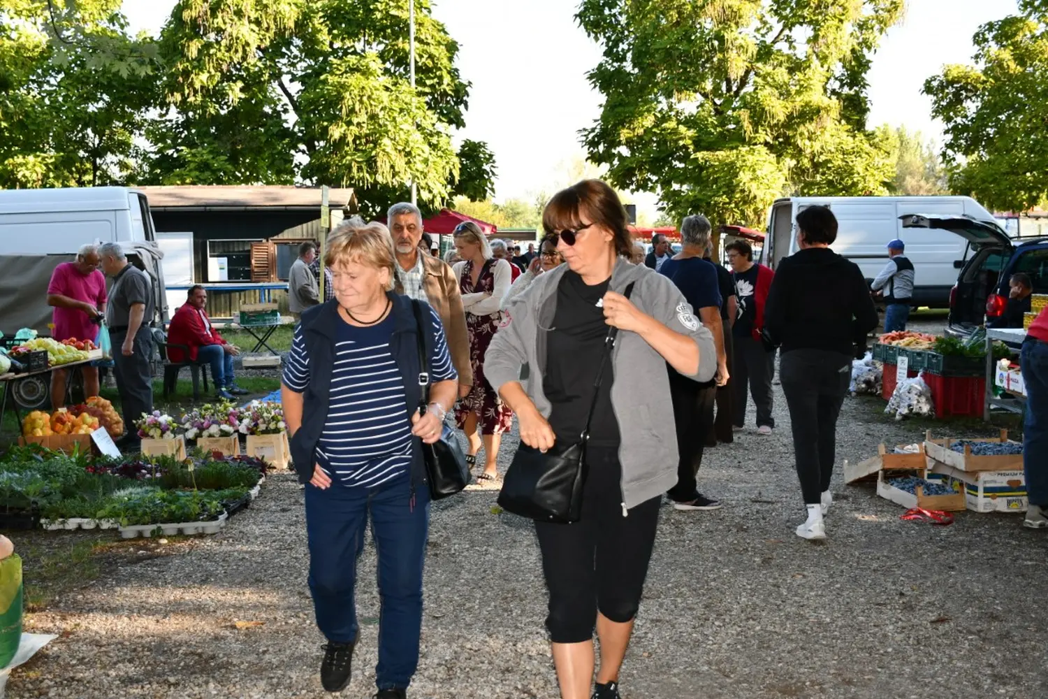 čakovečki sajam 11.9.2024 (47)