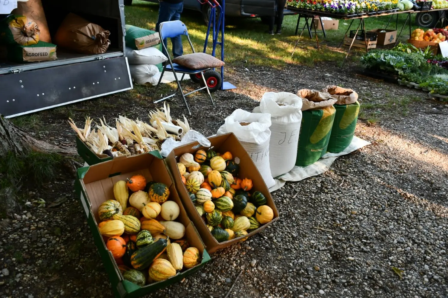 čakovečki sajam 11.9.2024 (50)