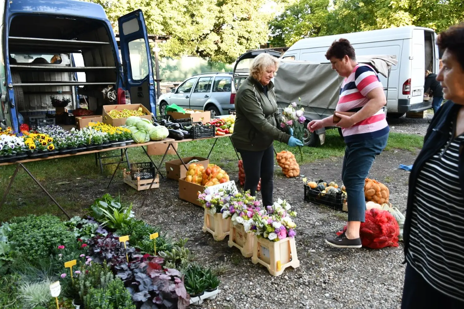 čakovečki sajam 11.9.2024 (8)