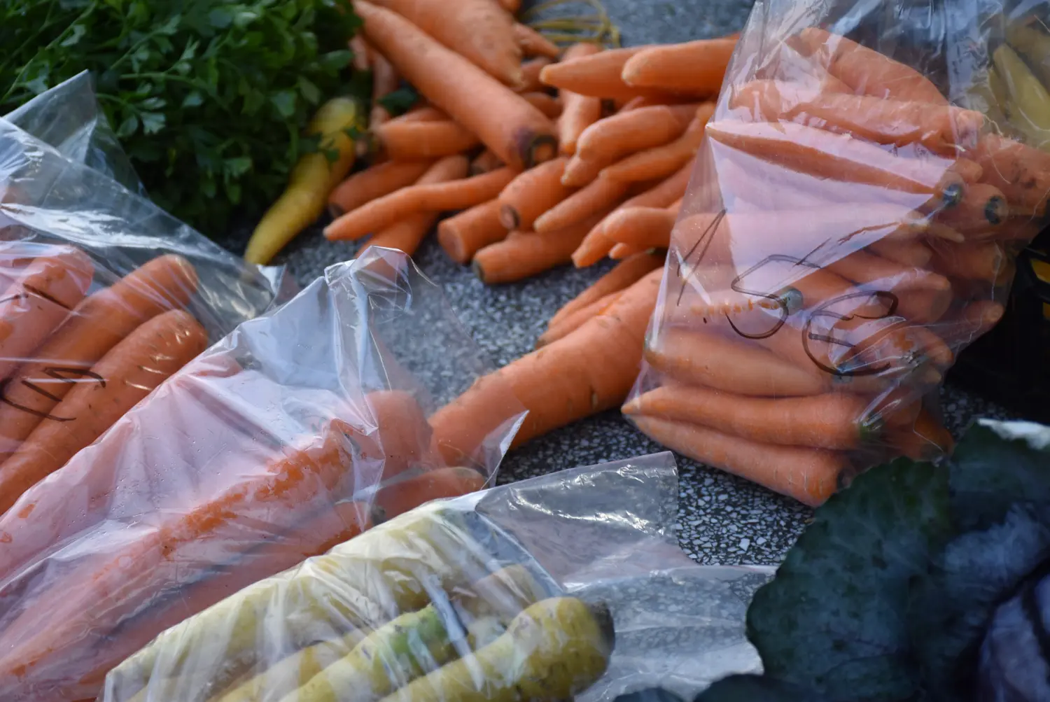 čakovečki sajam 18.9 (10) čakovečki sajam 18.9 (10)