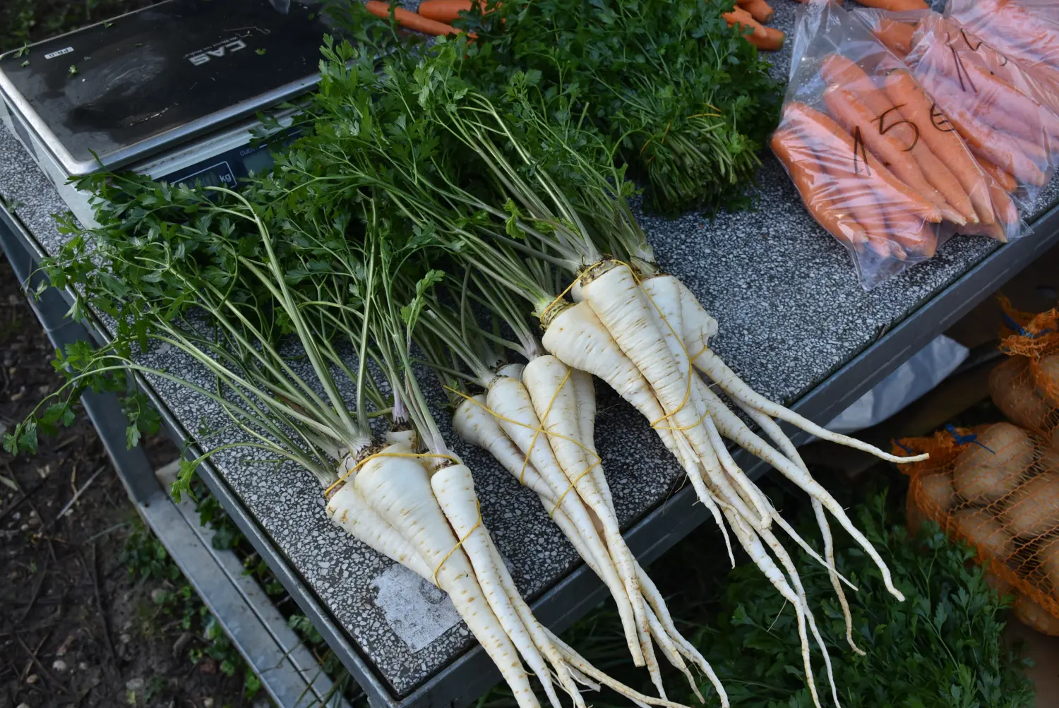 čakovečki sajam 18.9 (12) čakovečki sajam 18.9 (12)