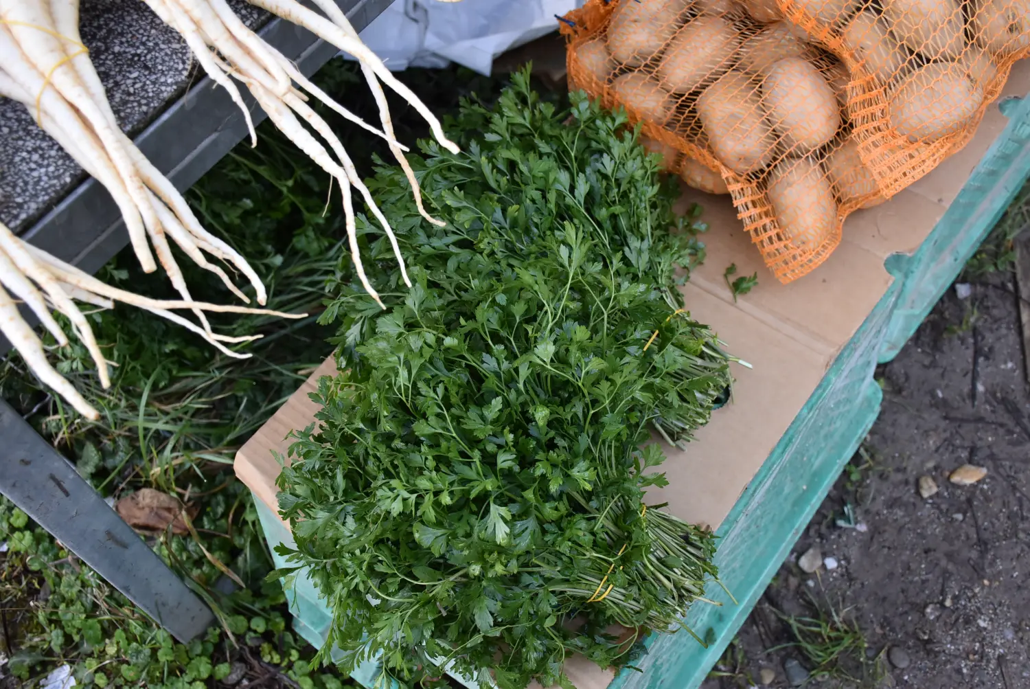 čakovečki sajam 18.9 (13) čakovečki sajam 18.9 (13)