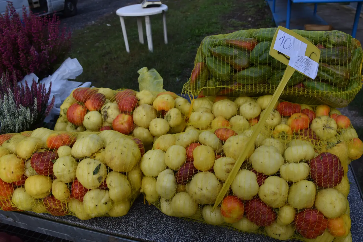 čakovečki sajam 18.9 (20) čakovečki sajam 18.9 (20)