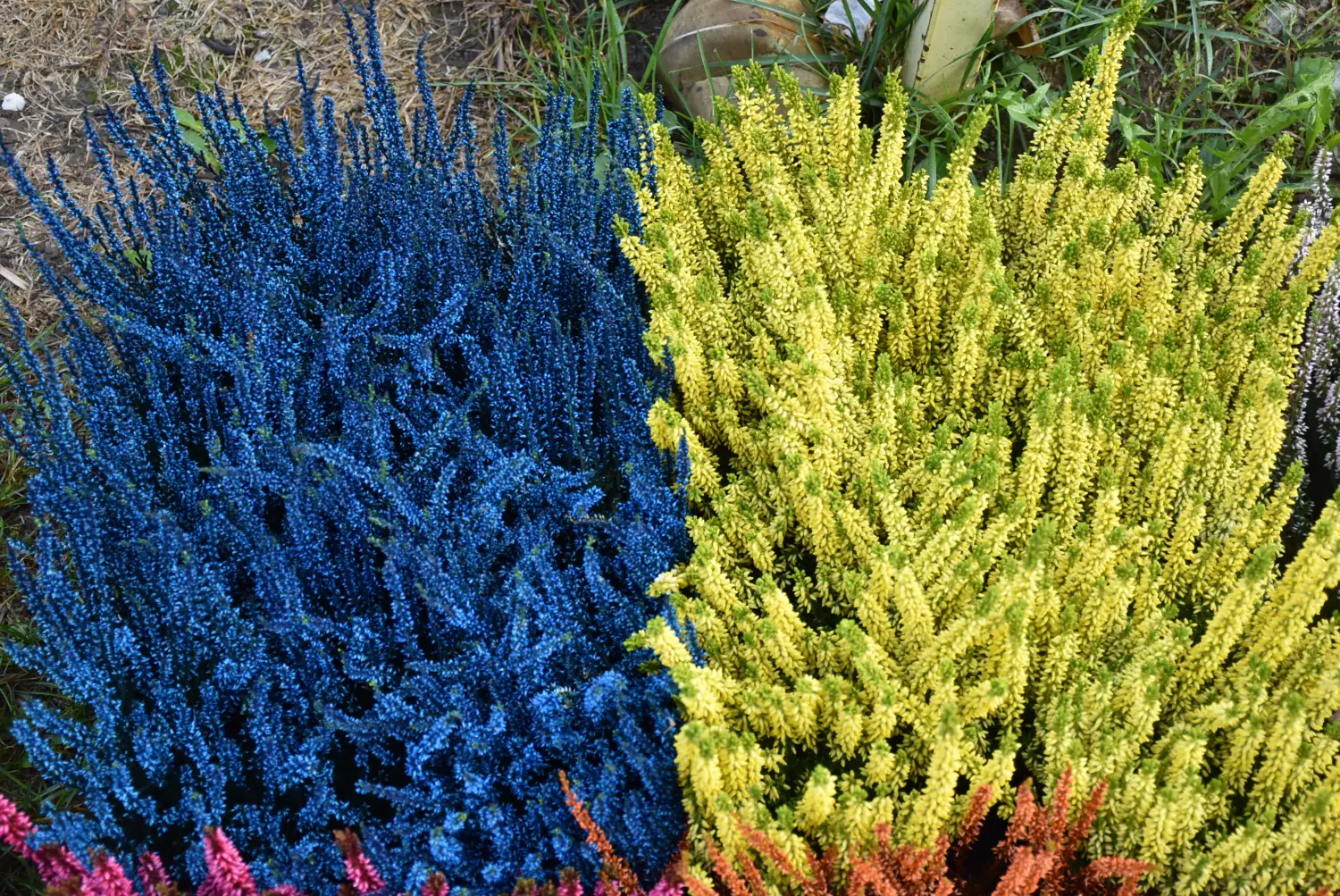 čakovečki sajam 18.9 (26) čakovečki sajam 18.9 (26)