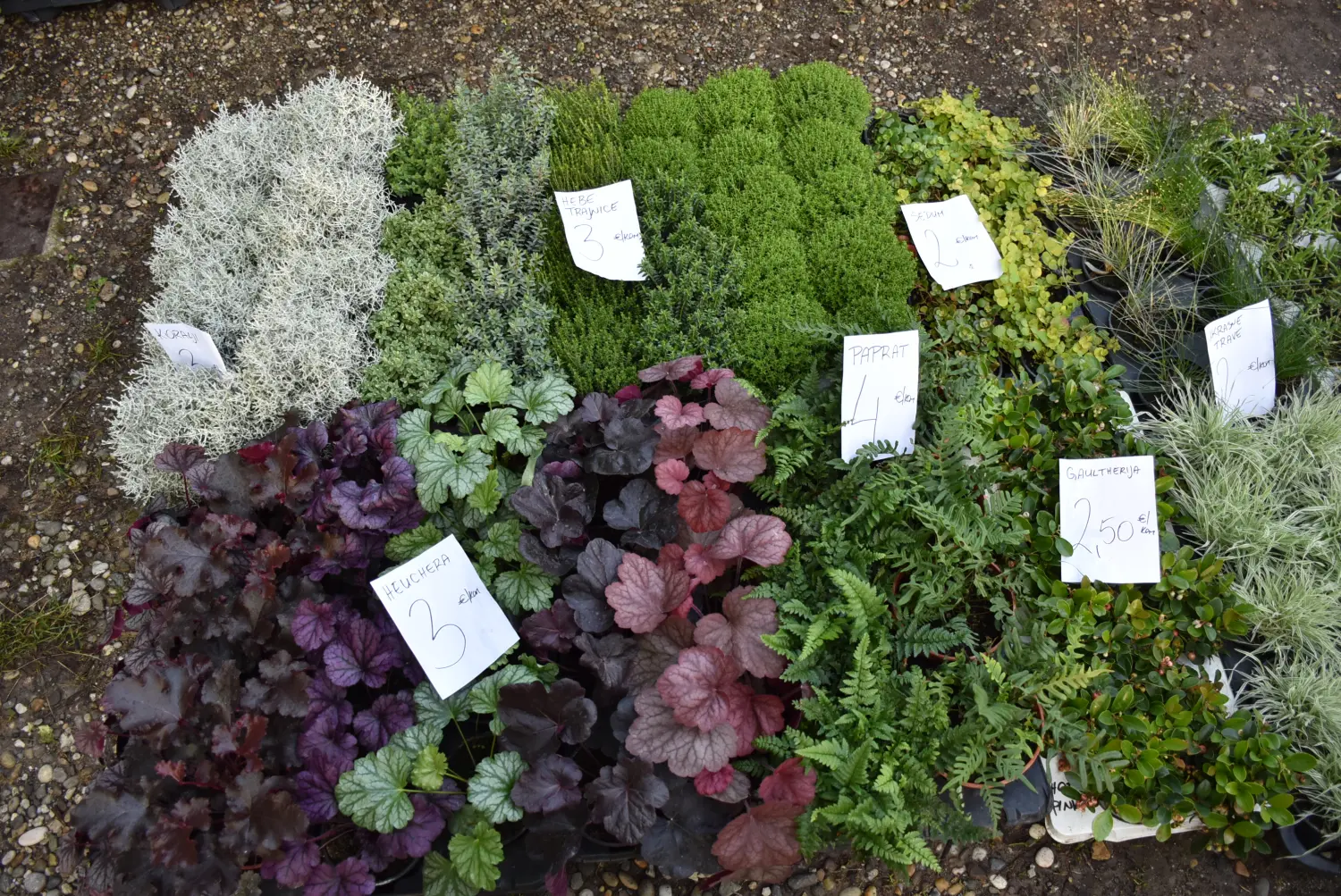 čakovečki sajam 18.9 (34) čakovečki sajam 18.9 (34)