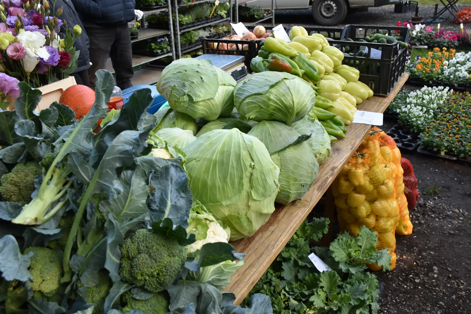 čakovečki sajam 18.9 (35) čakovečki sajam 18.9 (35)