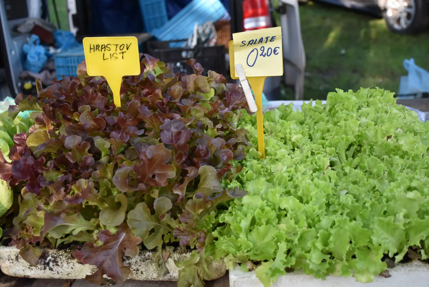 čakovečki sajam 18.9 (39) čakovečki sajam 18.9 (39)