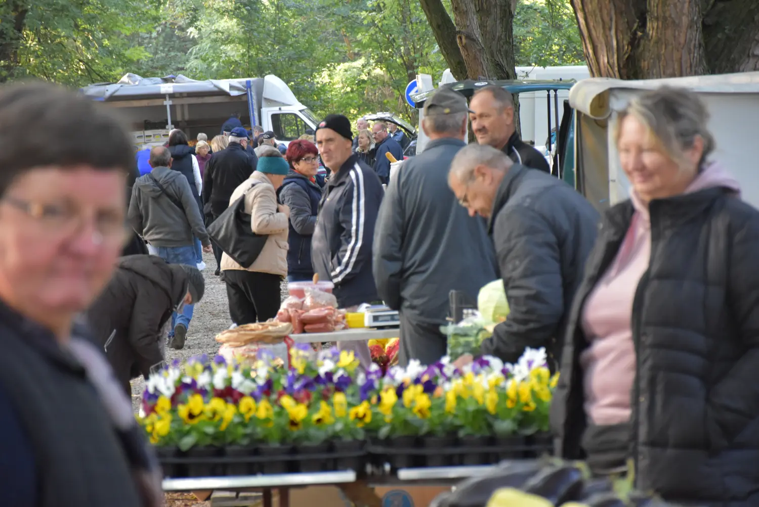 čakovečki sajam 18.9 (44) čakovečki sajam 18.9 (44)