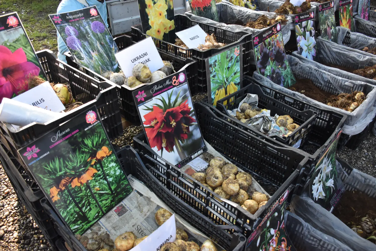 čakovečki sajam 18.9 (46) čakovečki sajam 18.9 (46)