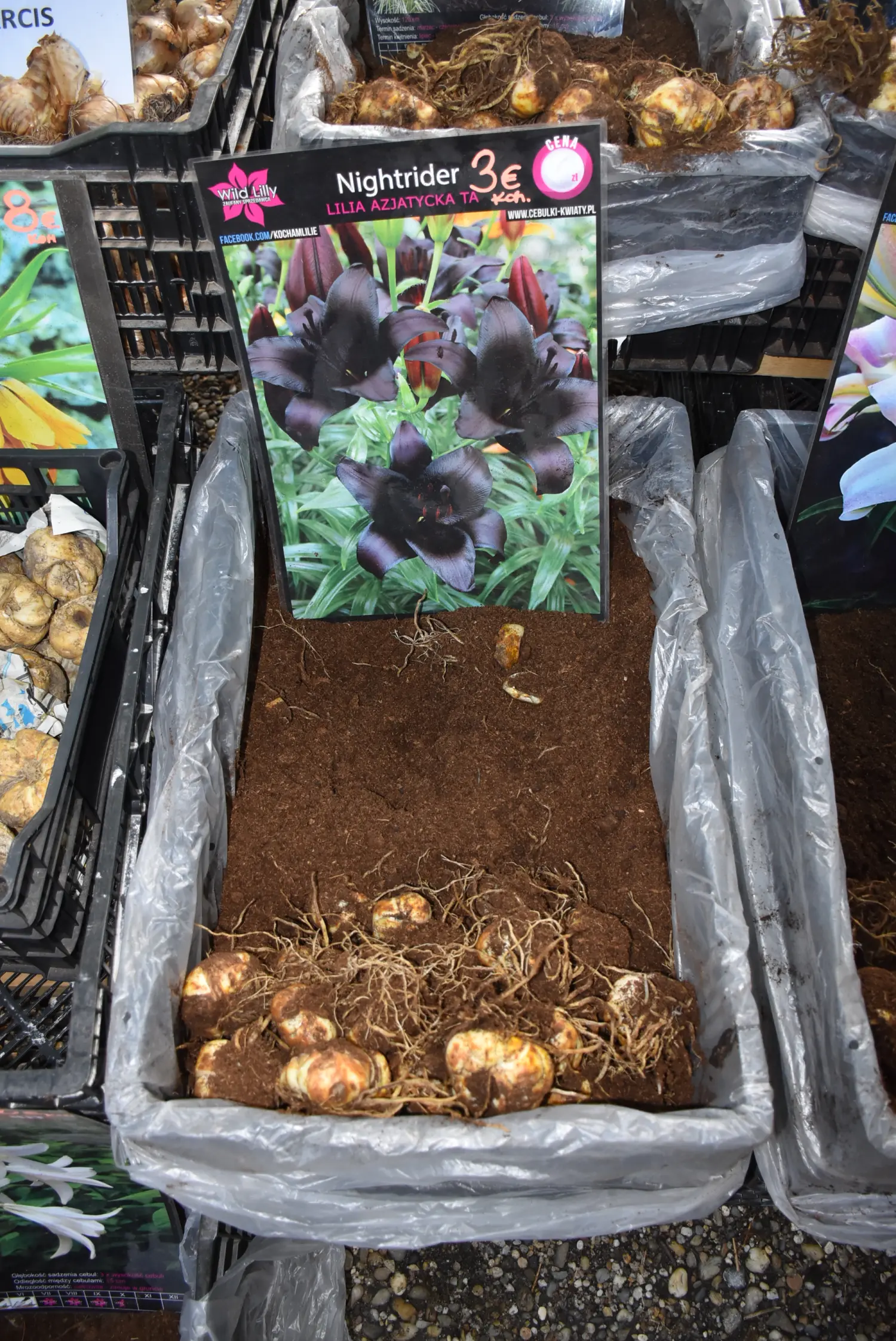 čakovečki sajam 18.9 (47) čakovečki sajam 18.9 (47)