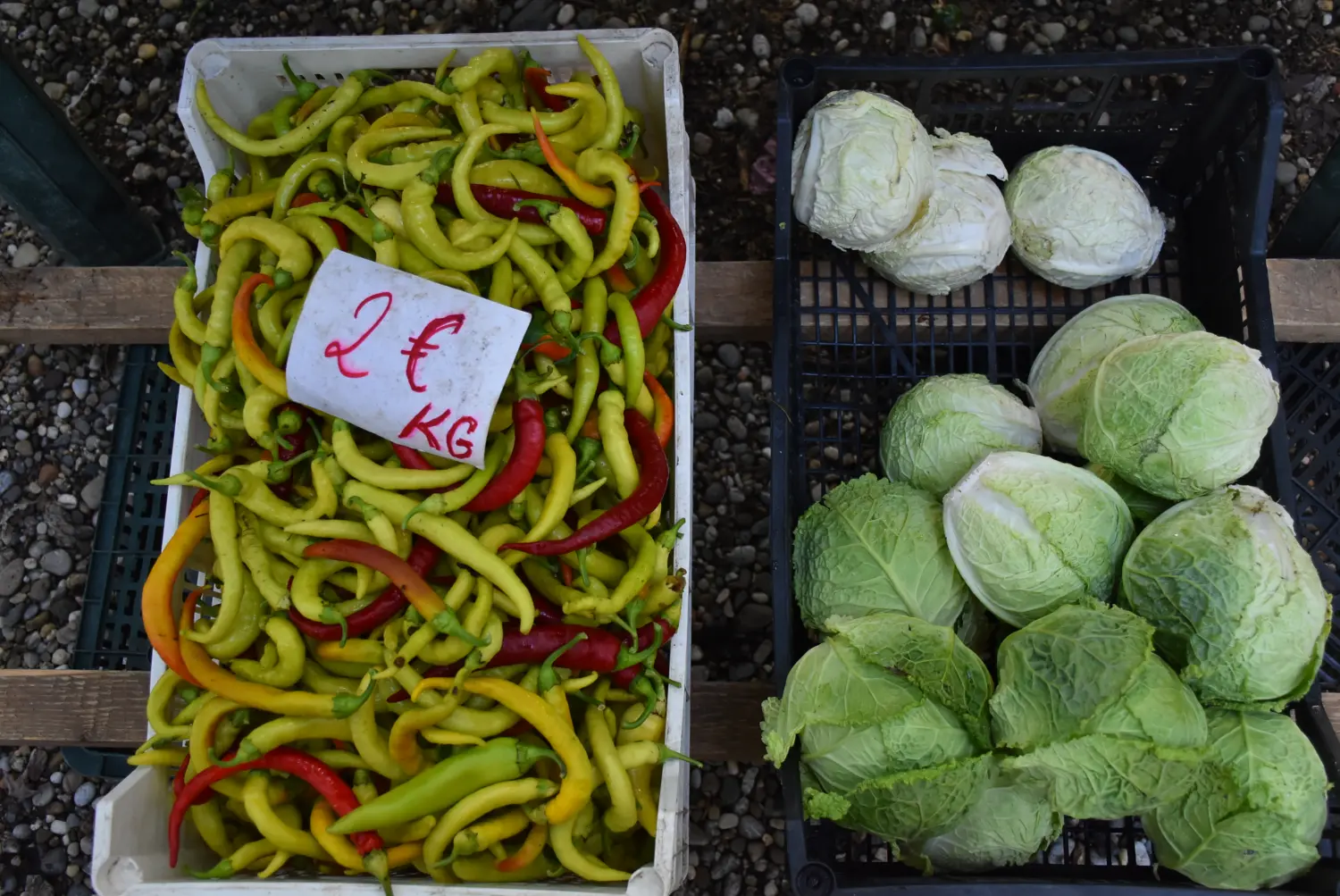 čakovečki sajam 18.9 (52) čakovečki sajam 18.9 (52)