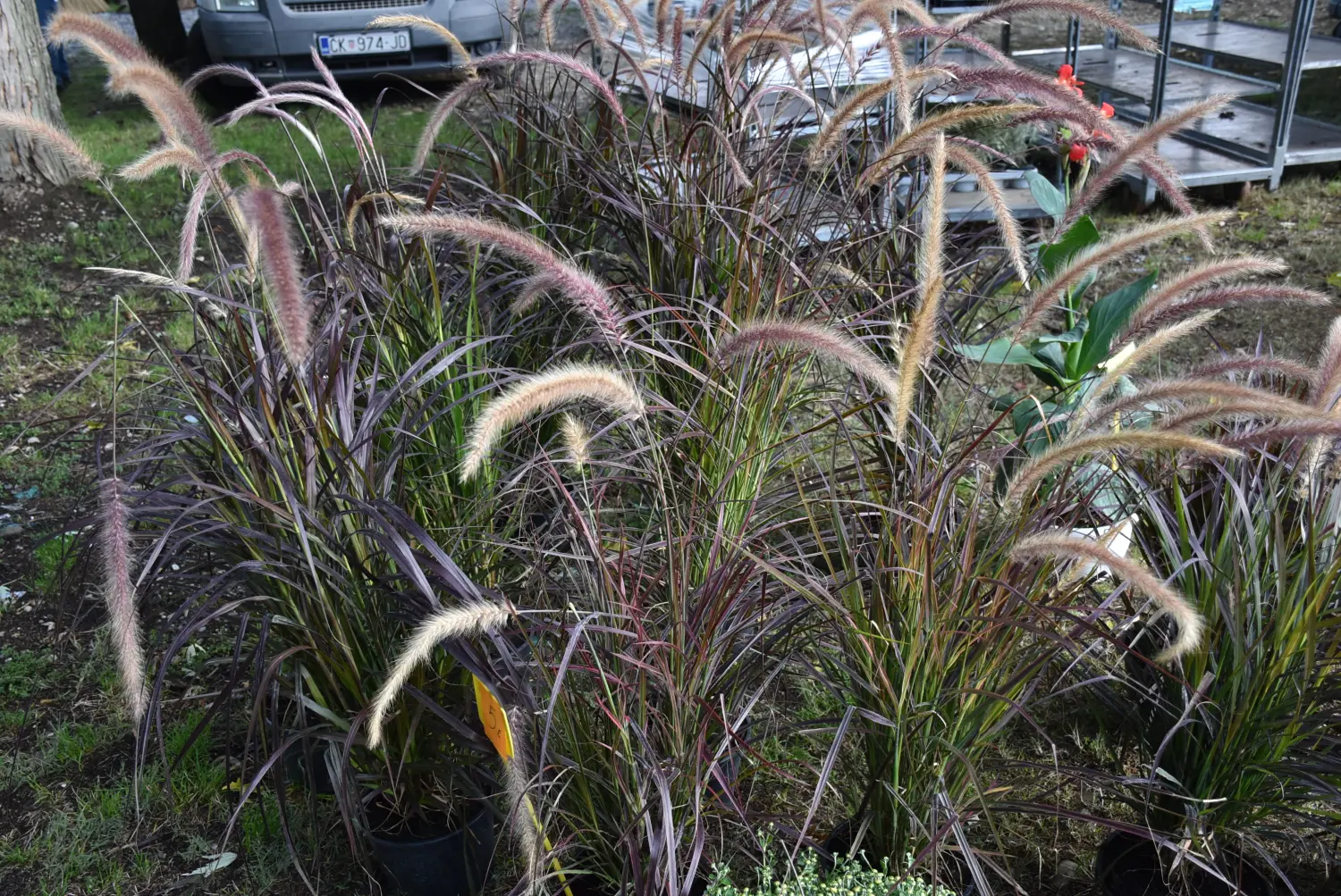 čakovečki sajam 18.9 (72) čakovečki sajam 18.9 (72)