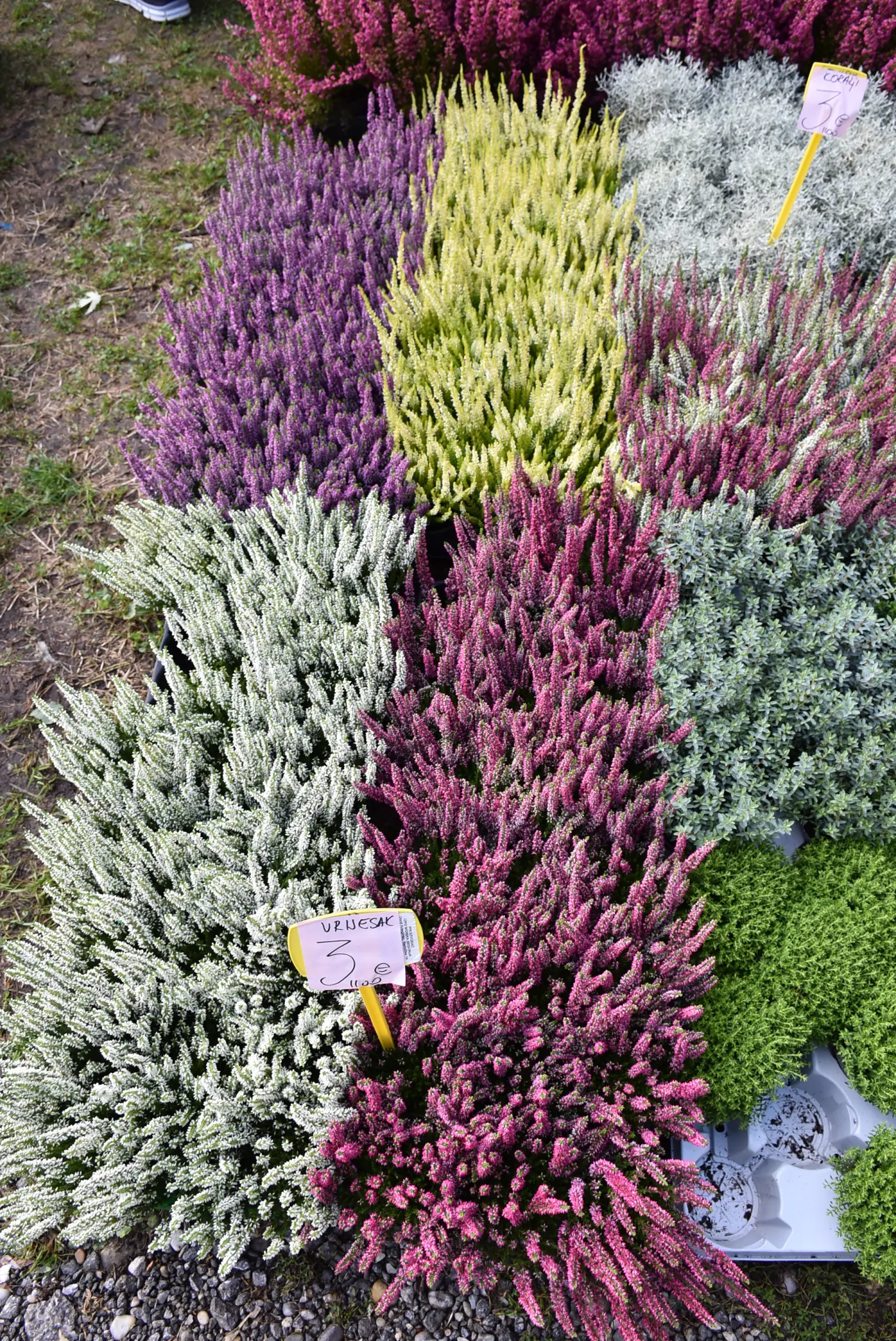 čakovečki sajam 18.9 (75) čakovečki sajam 18.9 (75)