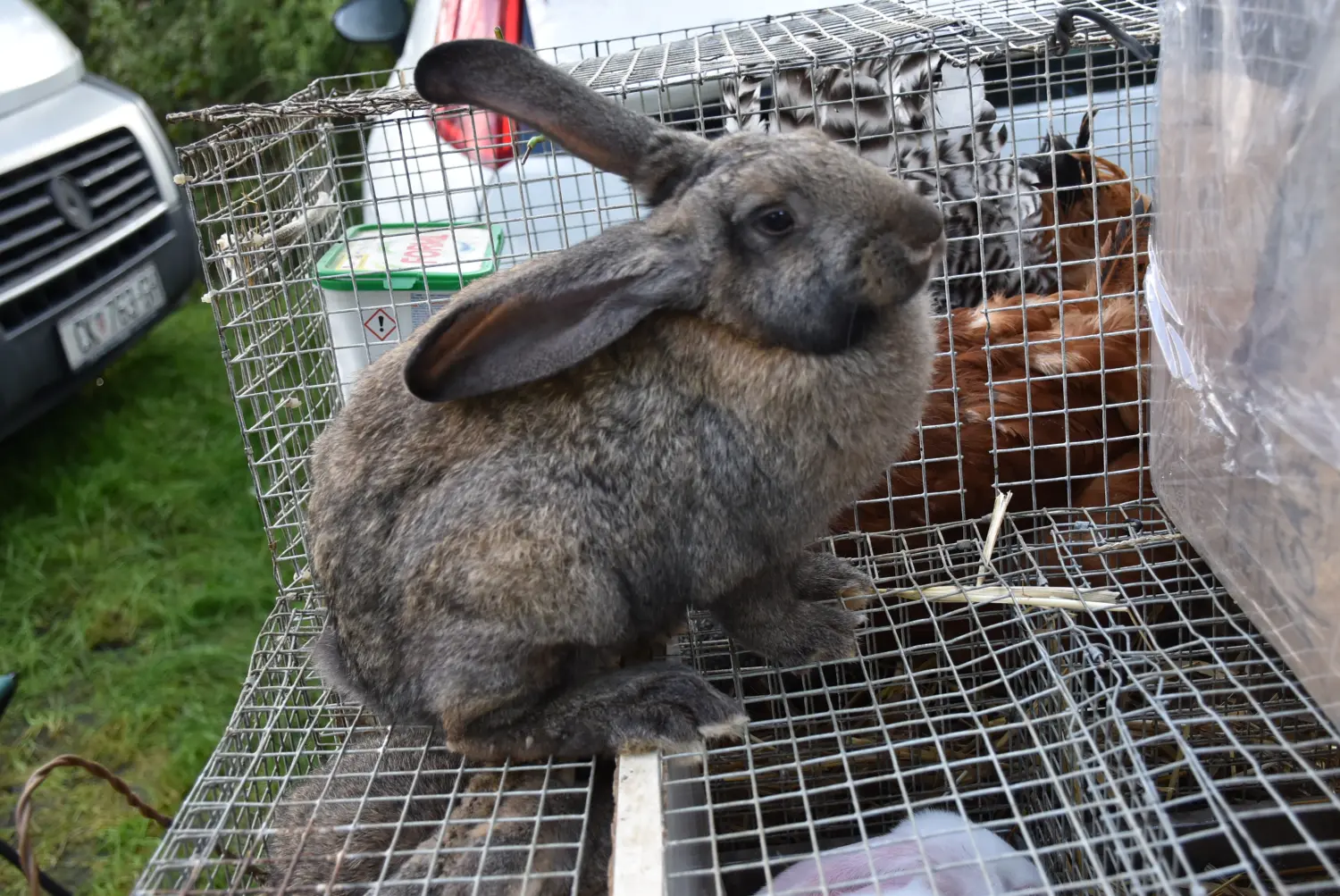 čakovečki sajam 18.9 (93) čakovečki sajam 18.9 (93)