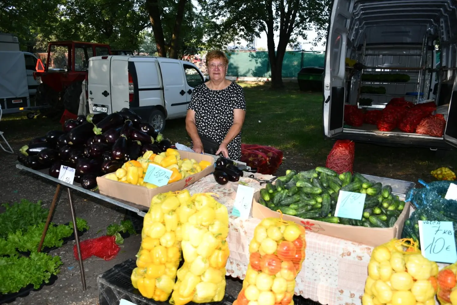 čakovečki sajam, 4.9.2024 (18)