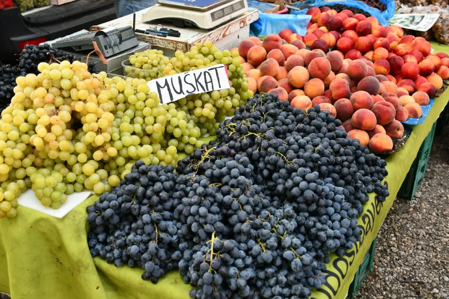 čakovečki sajam, 4.9.2024 (21)