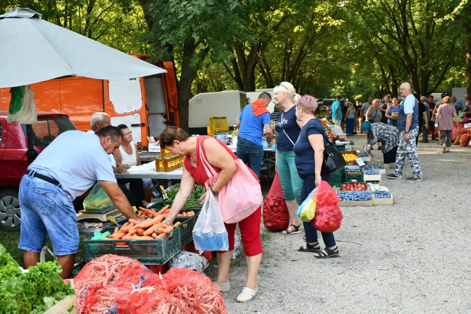 čakovečki sajam, 4.9.2024 (9)