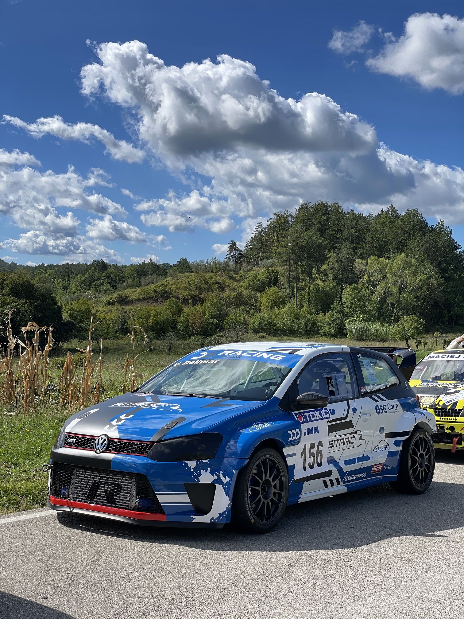 Vedran Delimar – Buzet