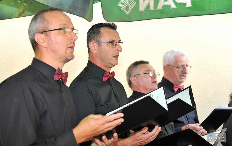 Mala Gospa u Hemuševcu