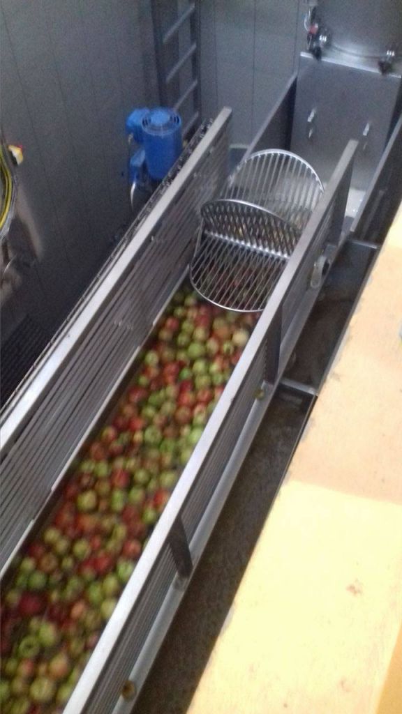 1455056311234452244032132166596