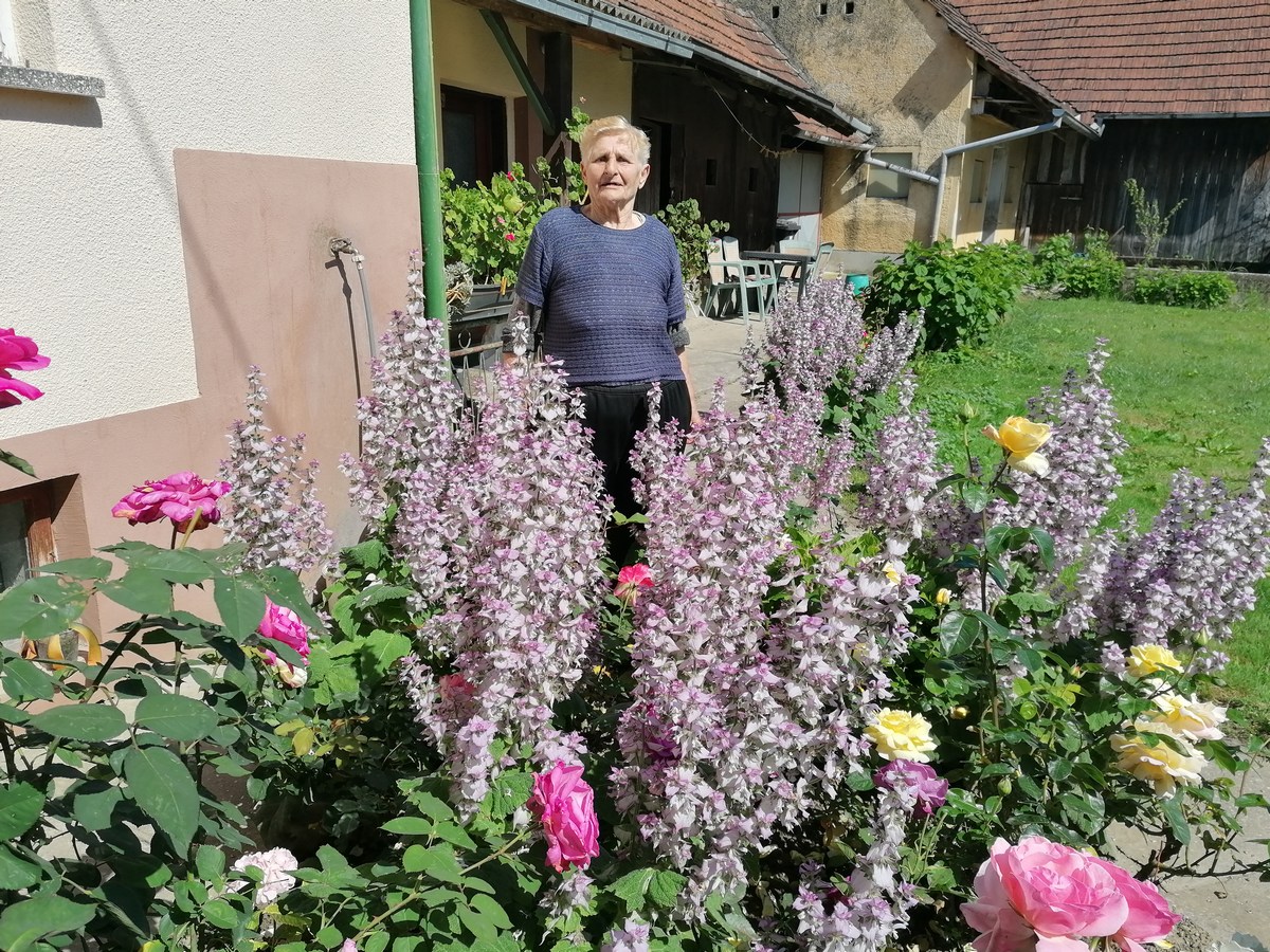 UKRAS MEĐIMURJA Čiji vrt je najljepši? Dodijeljena priznanja, evo tko je bio najkreativniji