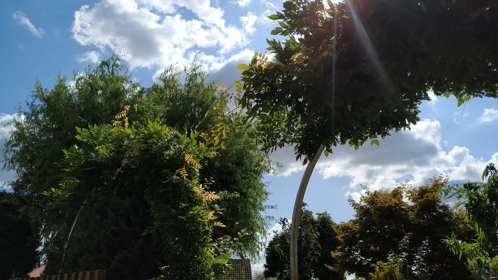 Dvorište Maje Mlakar