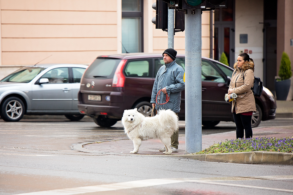 Klikom po Prelogu (18.1.2020.)