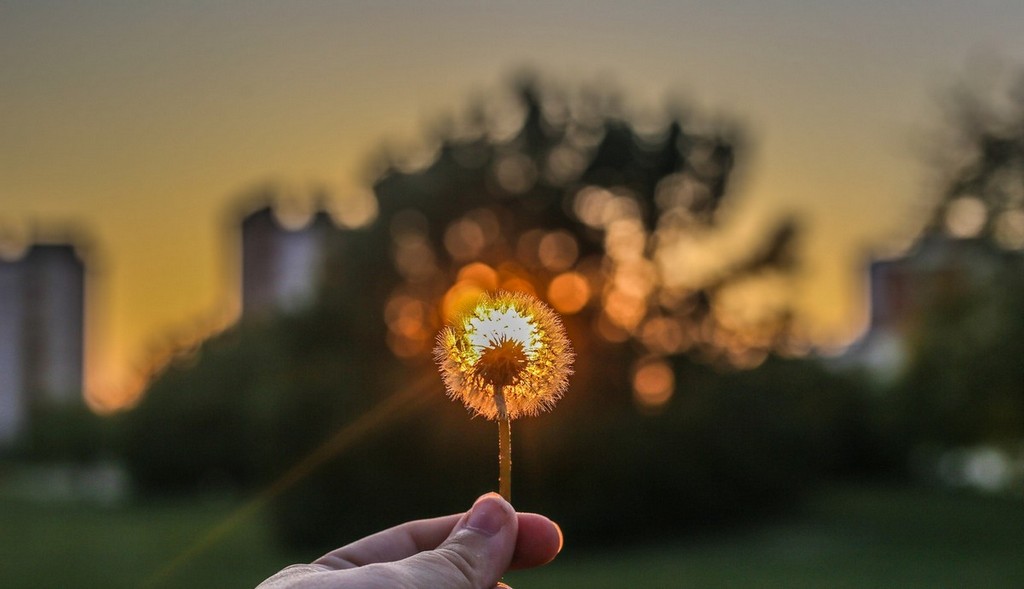 Šetnja gradom uz čarobne efekte zlatnog sata