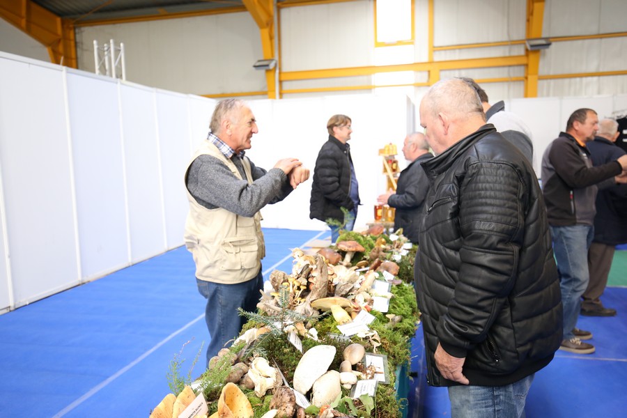 U Nedelišću otvorena sajamska priredba ‘Mesap jesen 2018.’