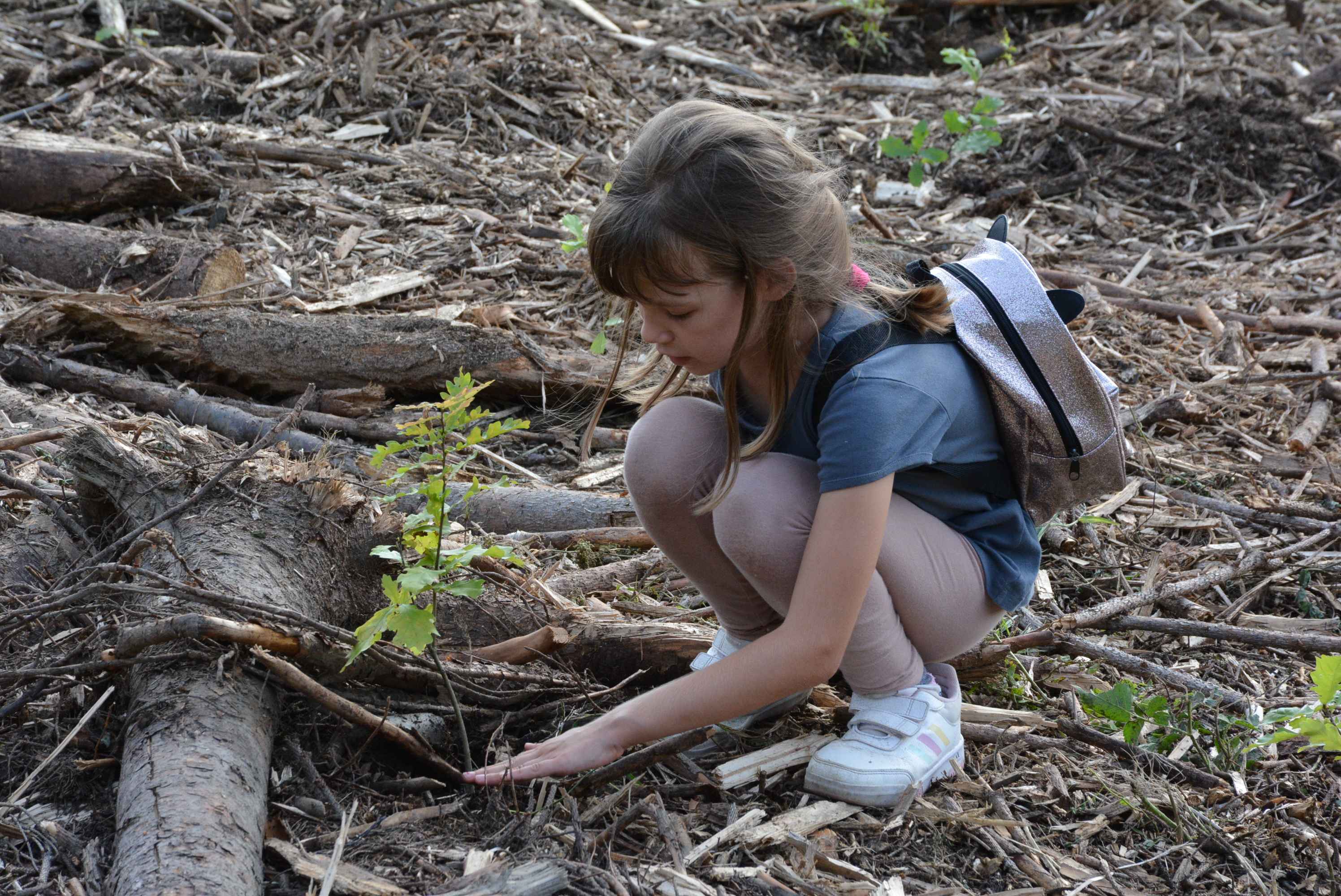 KNEZOVEC Održana velika akcija pošumljavanja u ogranizaciji tvrtke Sobočan