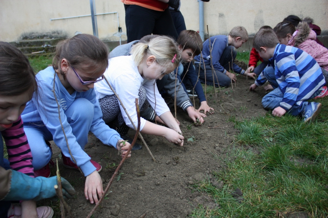 img4288resizekopija866099