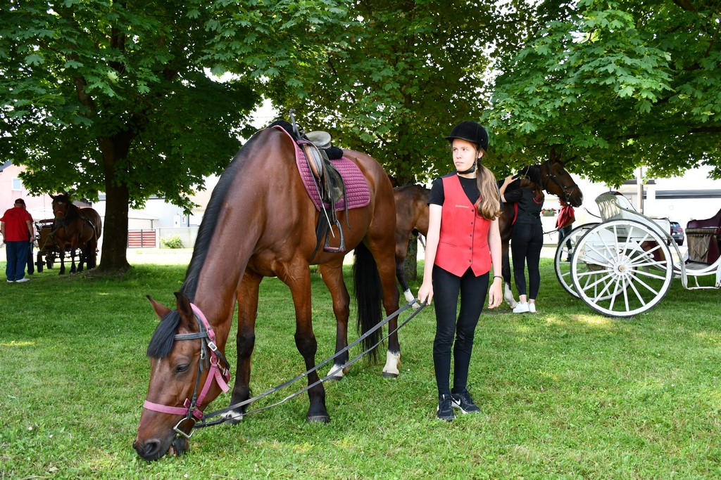 VIDEO I FOTO Međunarodno konjičko druženje okupilo brojne uzgajivače konja iz SZ Hrvatske te Slovenije i Austrije