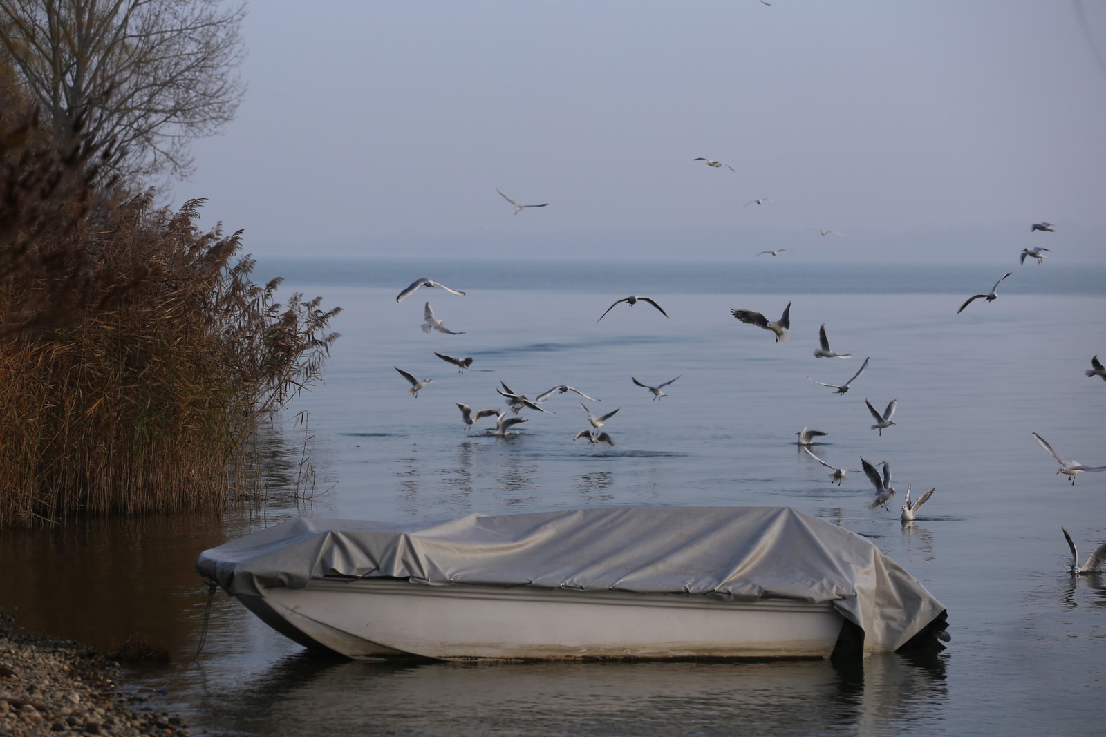 KLIKOM PO MARINI Brojni građani u prekrasnoj prirodi pronalaze mir