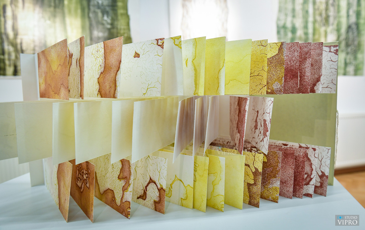 PRELOG Otvorena zanimljiva izložba grafika Darie Kopjar