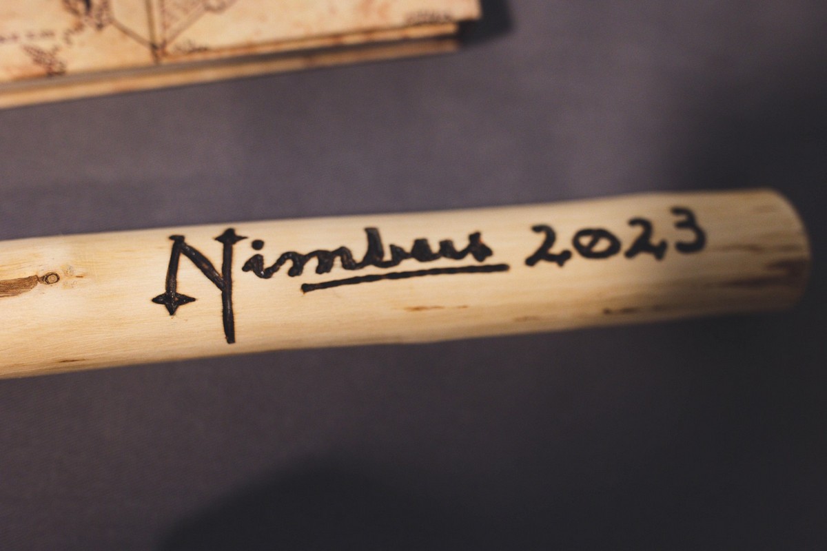 Harry Potter vječanje Harry Potter vječanje