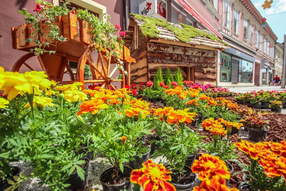 1326383011824371684579252579878