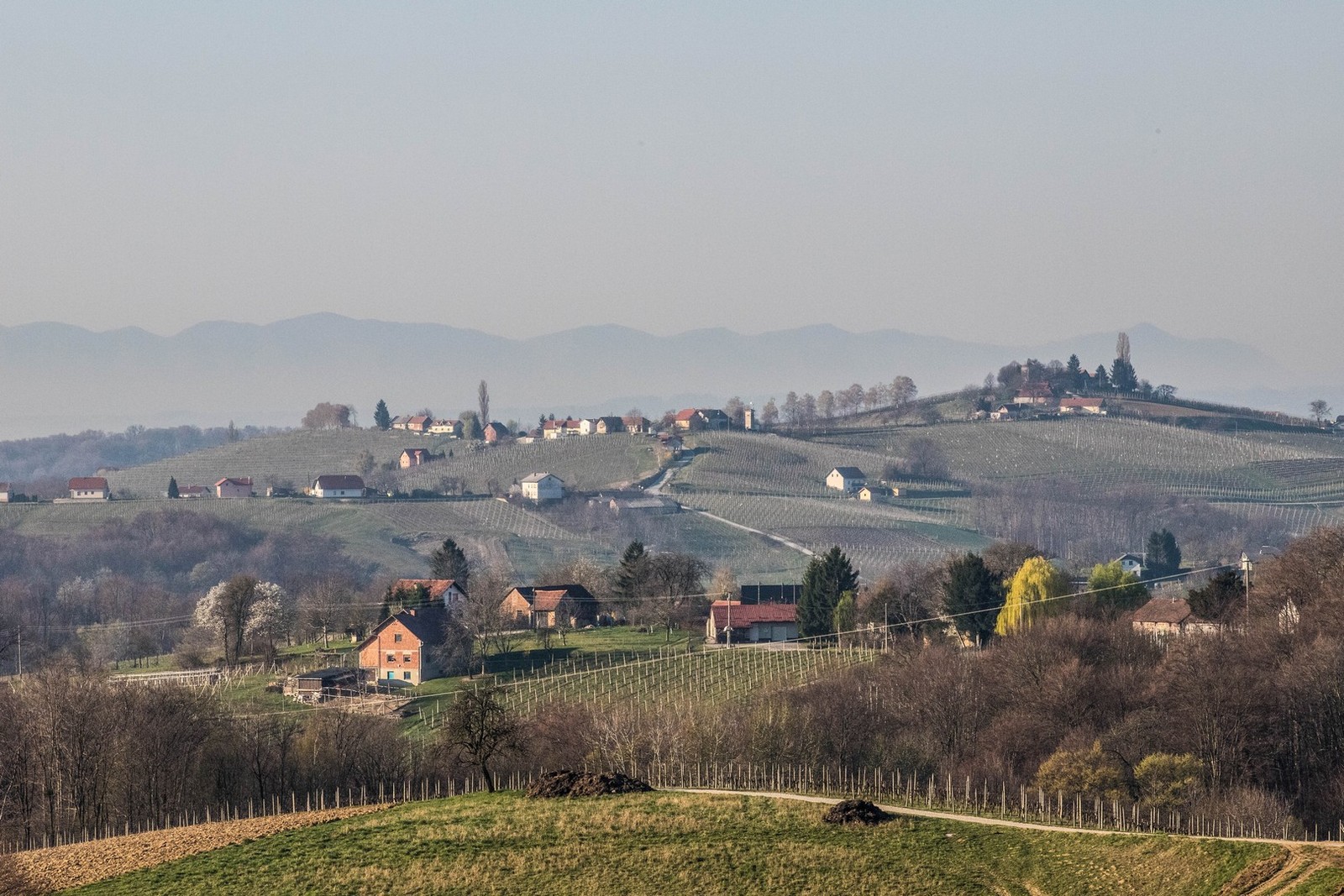FOTO Prvi dan proljeća u Međimurju: Pogledajte predivne fotografije šetnje po Mađernikom bregu i Žabniku FOTO Prvi dan proljeća u Međimurju: Pogledajte predivne fotografije šetnje po Mađernikom bregu i Žabniku