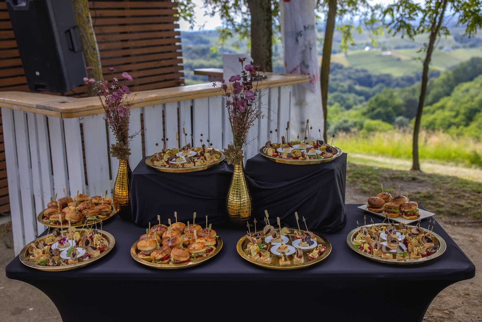 Štampar i Međimurje proslavili trijumf s Decantera