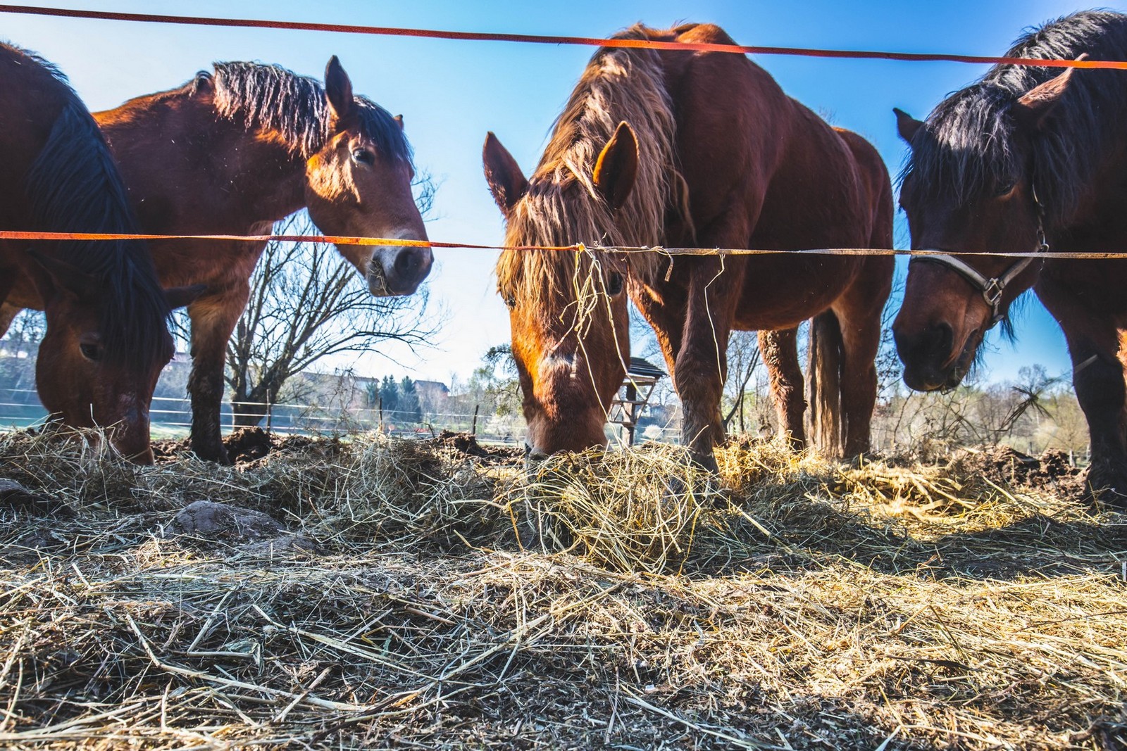 FOTO Prvi dan proljeća u Međimurju: Pogledajte predivne fotografije šetnje po Mađernikom bregu i Žabniku FOTO Prvi dan proljeća u Međimurju: Pogledajte predivne fotografije šetnje po Mađernikom bregu i Žabniku