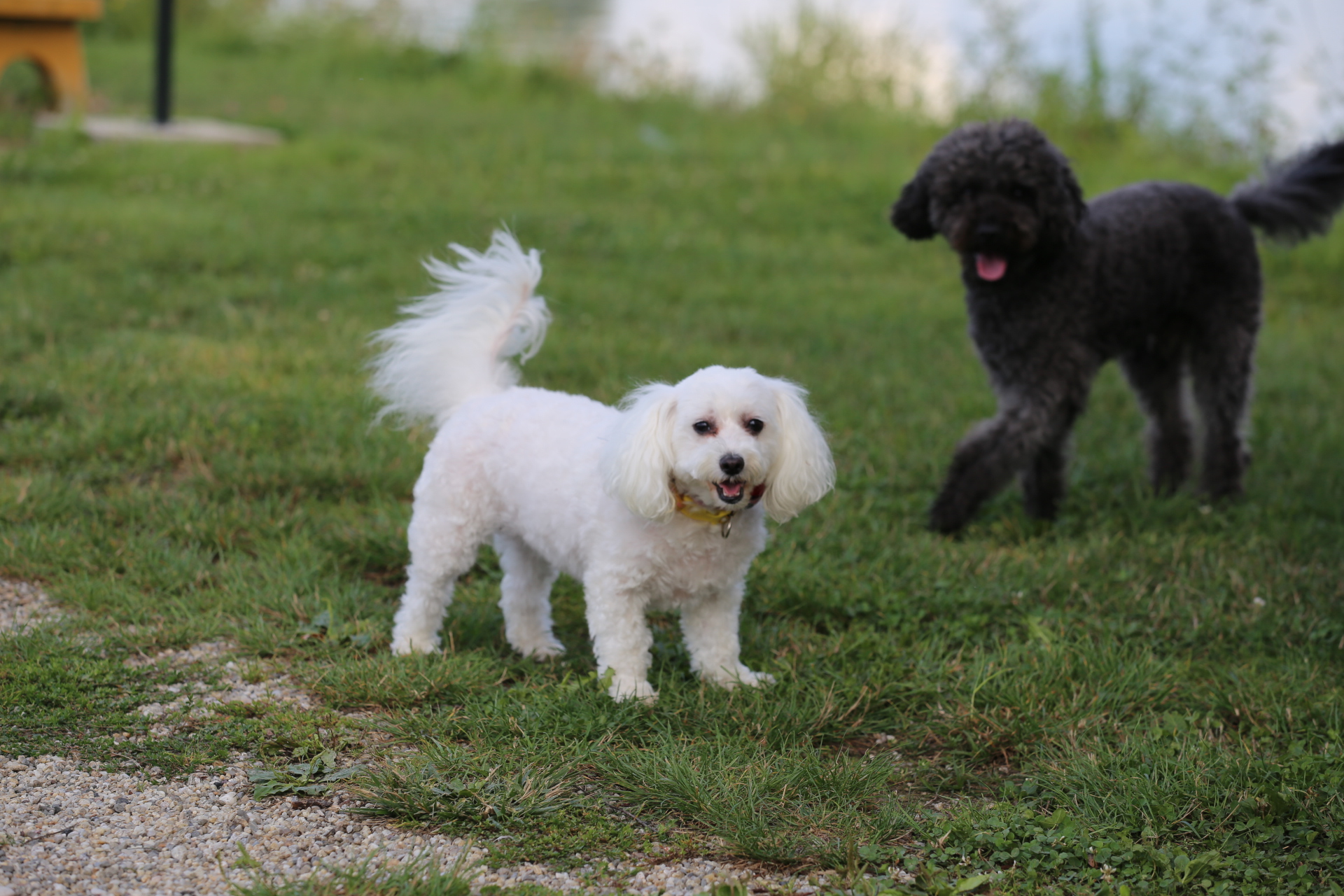 Klikom po Marini (29.8.2021.)