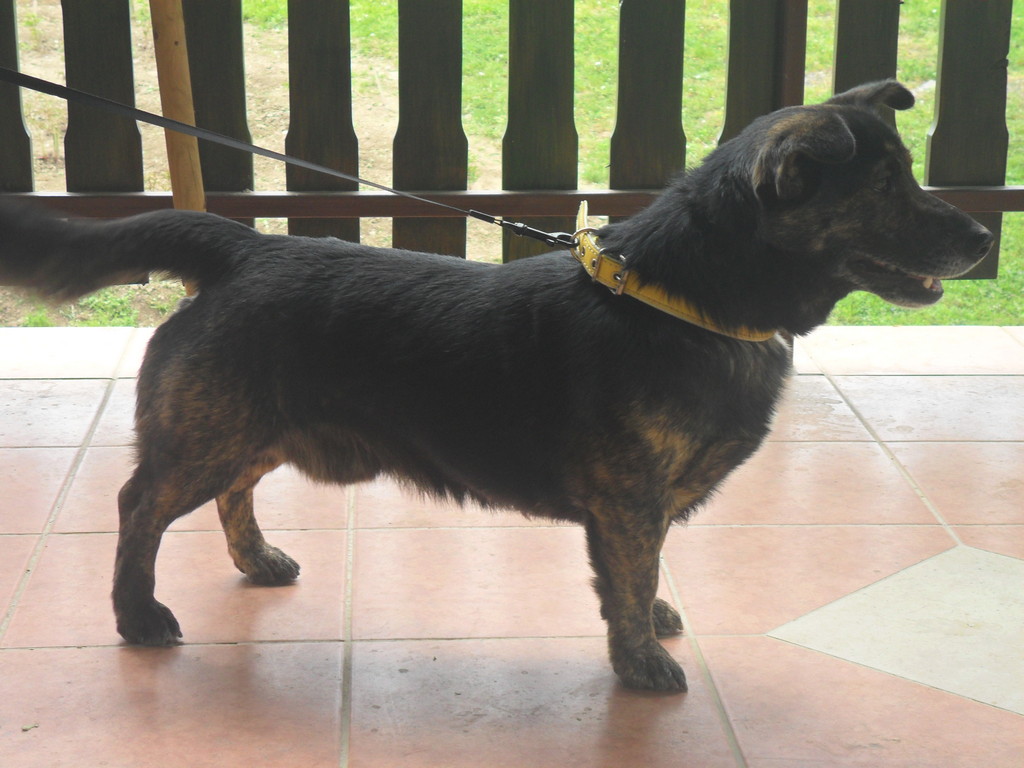 fotografija00017602188