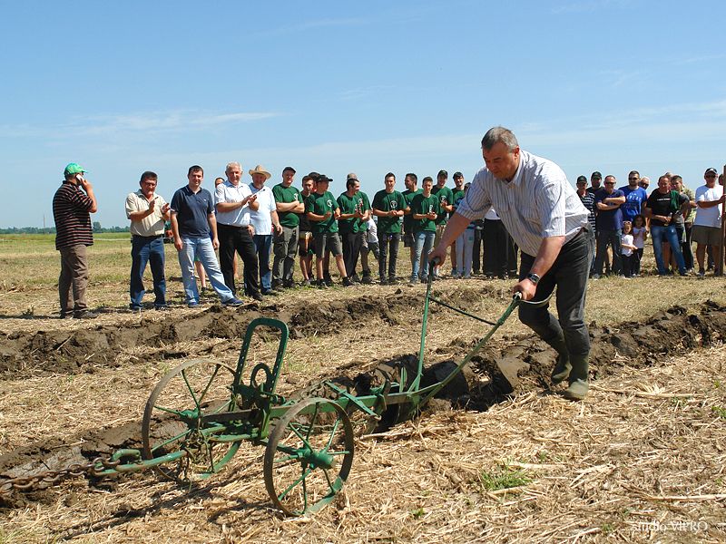 353915396dsc06381432024