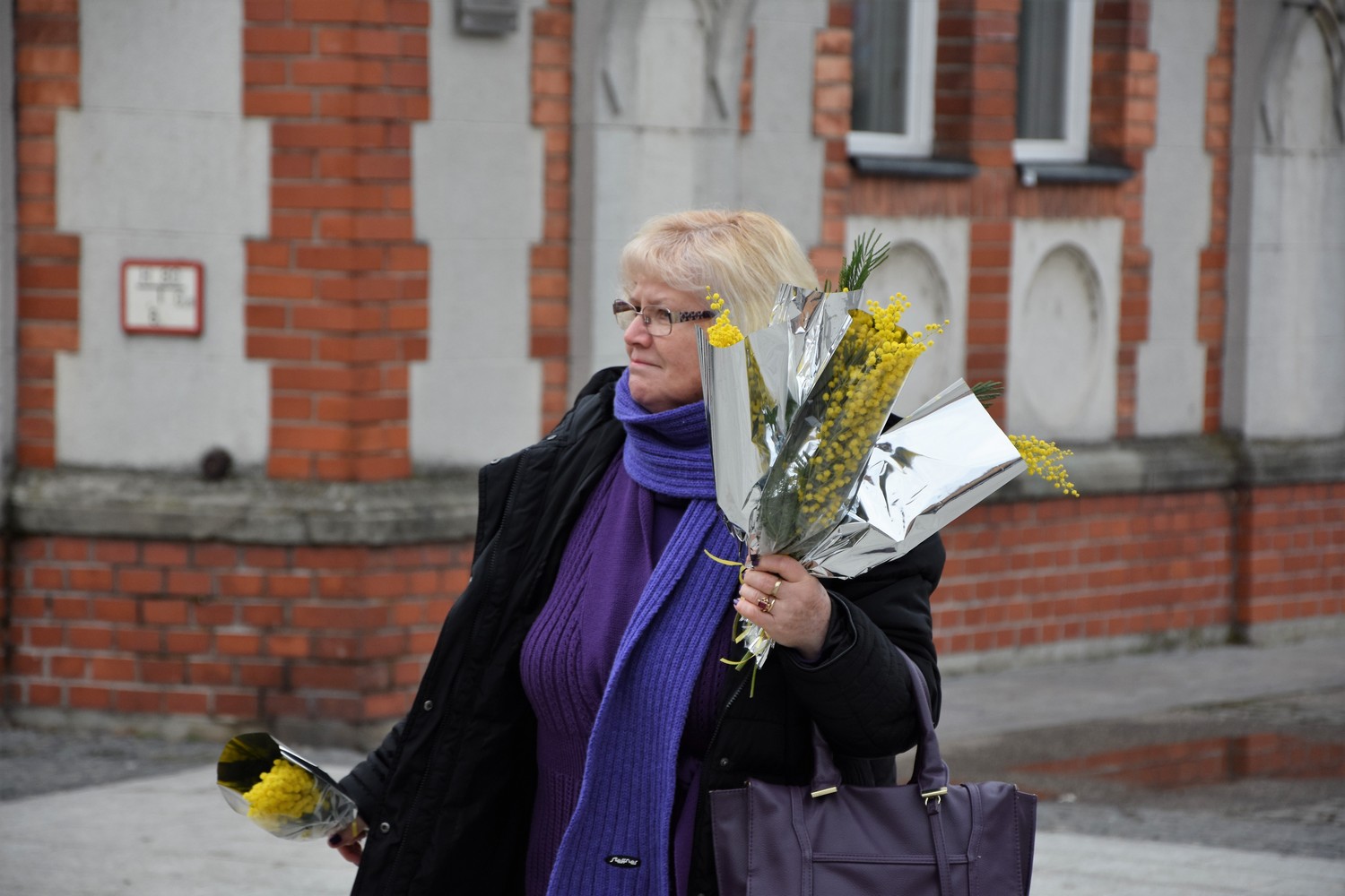 Dan mimoza u Čakovcu