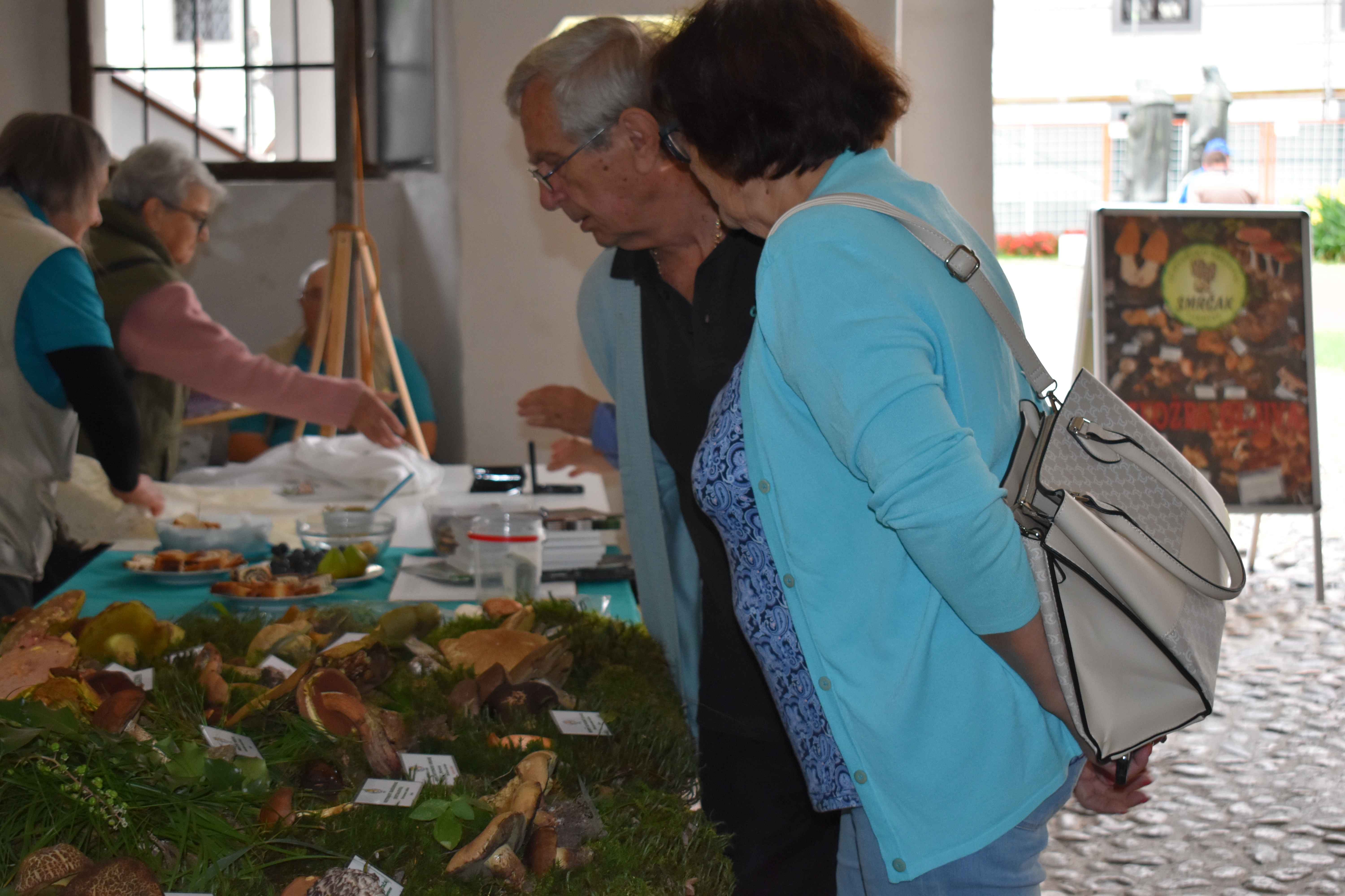 FOTO Ovog vikenda razgledajte zanimljivu i edukativnu izložbu gljiva u Čakovcu