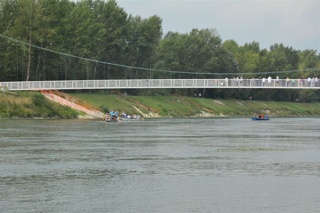 dsc4021795576